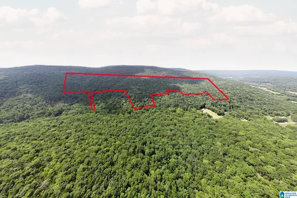 $650,000 | 0 Hurricane Road, New Market, AL 35761