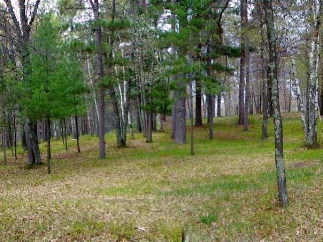 Lot 14 Selmer Road Tomahawk, WI 54487 - Photo 5 of 12 Gallery Image 5