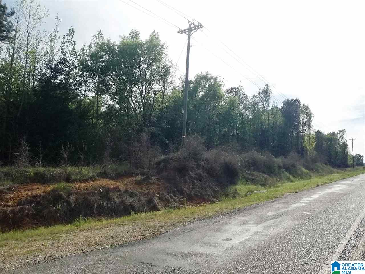 Stockdale Road, Unit 11 81 Talladega, AL 35160 - Photo 4 of 4