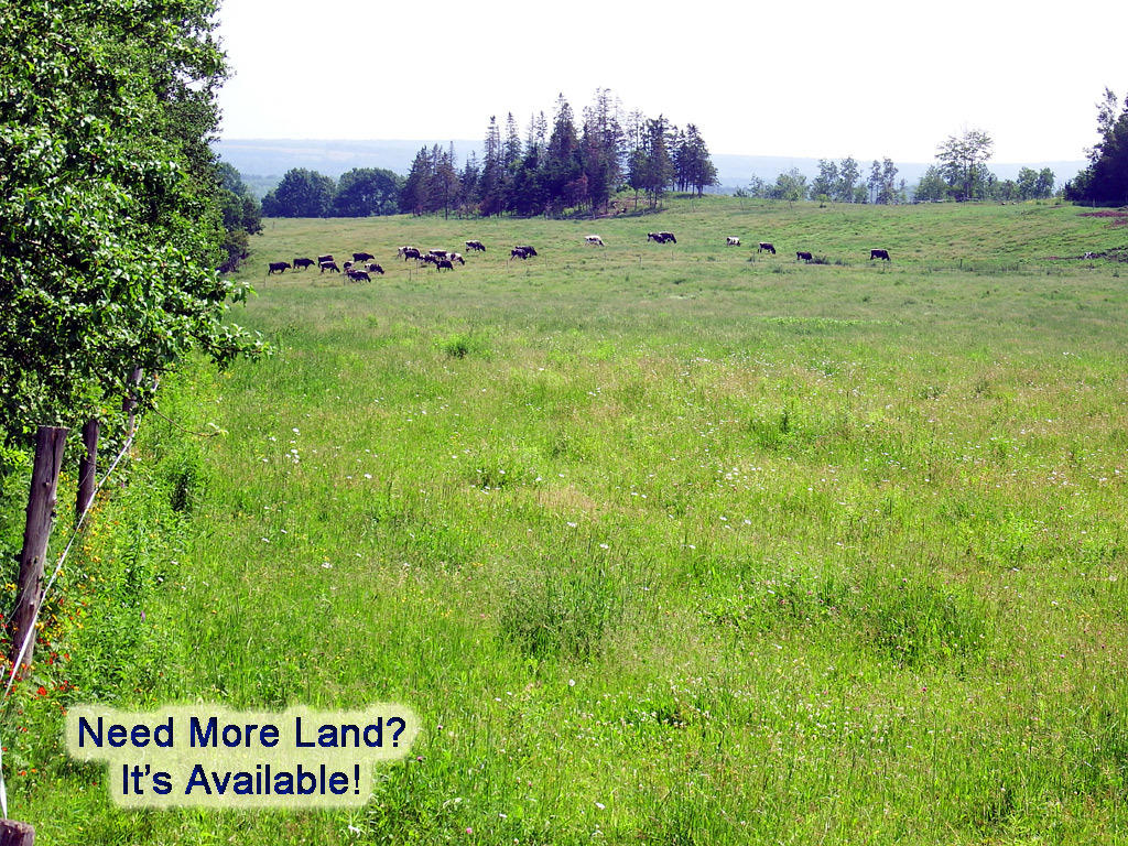 Green Green Rd Road Houlton, ME 04730 - Photo 7 of 30 hodgdon-oliver-land-3