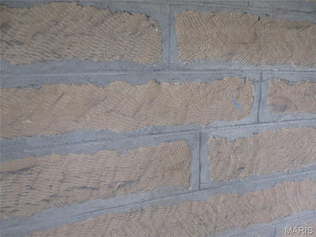 1009 Swanwick Street Chester, IL 62233 - Photo 10 of 11