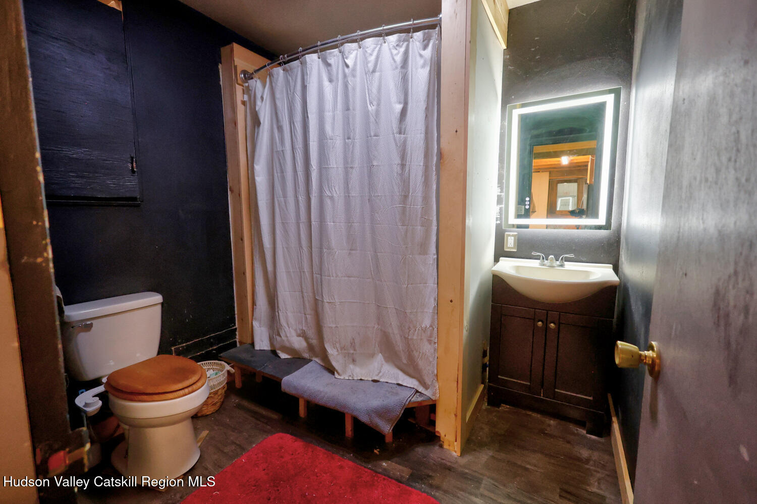 301 Sugar Loaf Road Earlton, NY 12058 - Photo 32 of 64 a bathroom with a toilet sink and mirror
