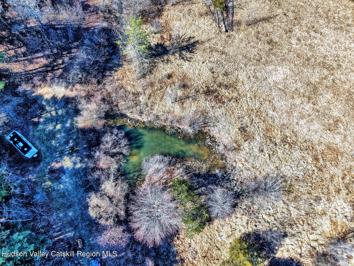 301 Sugar Loaf Road Earlton, NY 12058 - Photo 58 of 64 a view of a yard with lots of bushes and trees
