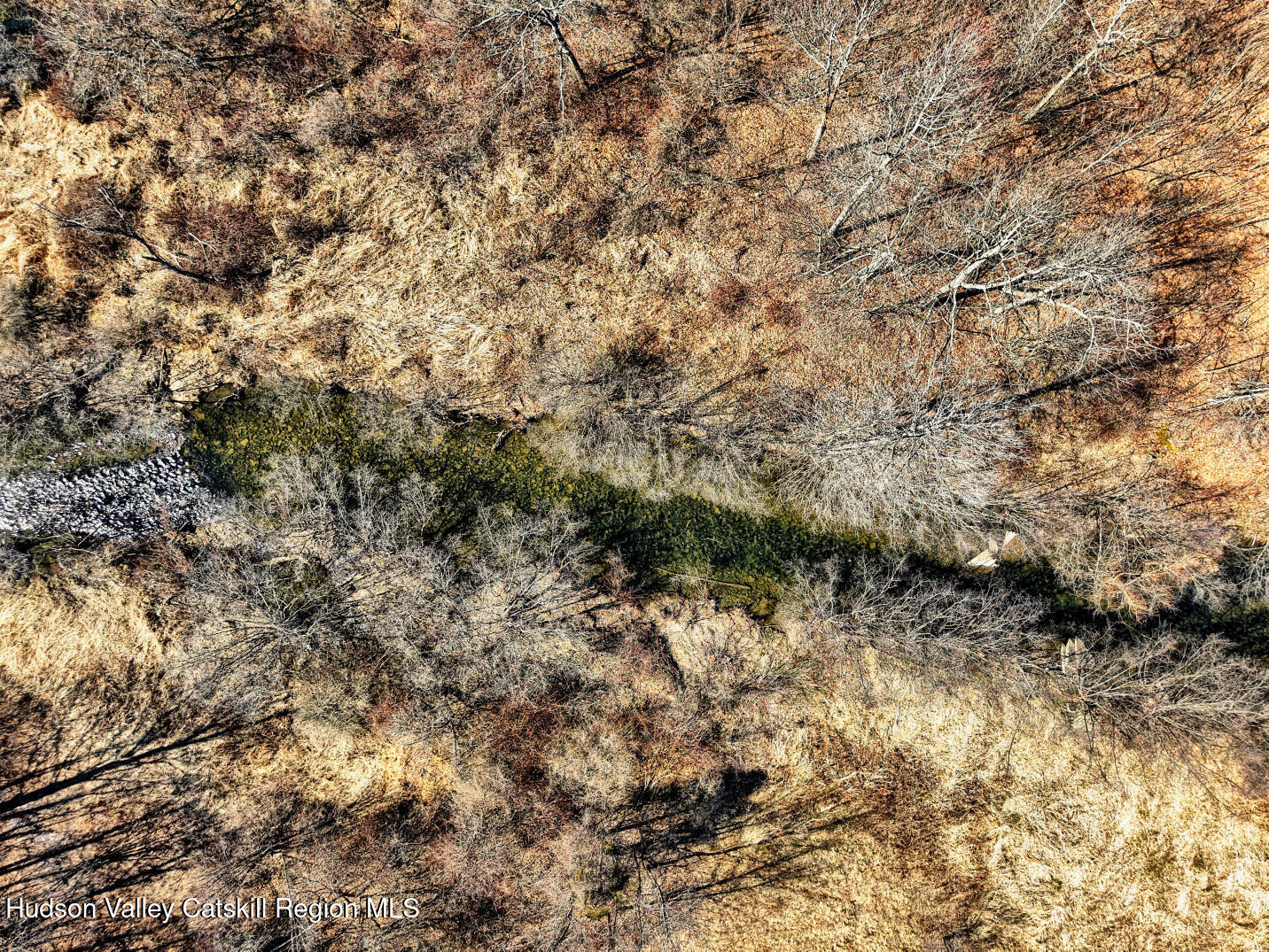 301 Sugar Loaf Road Earlton, NY 12058 - Photo 60 of 64 a view of a covered with green space