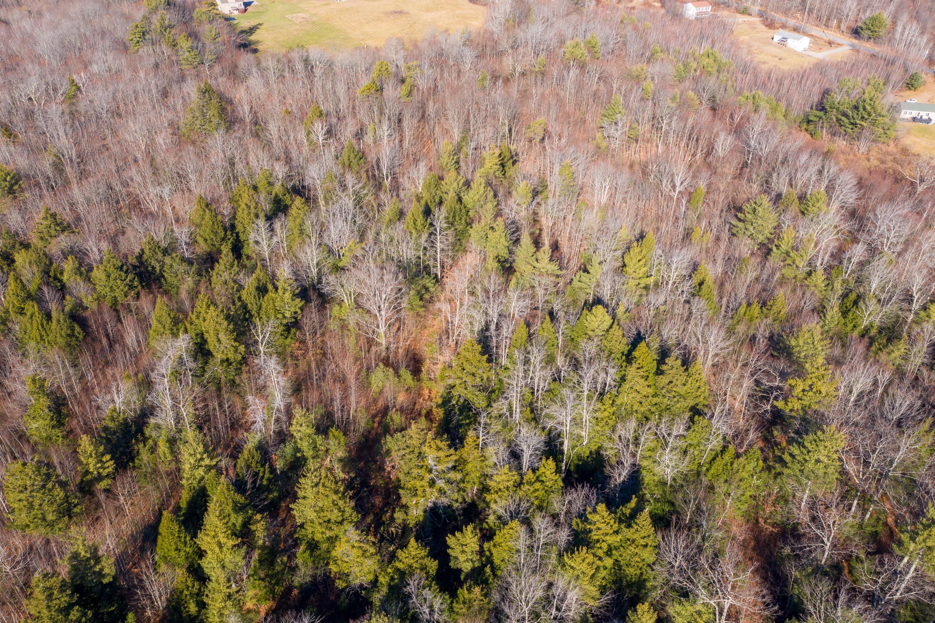 32 Jim Grant Road Lebanon, ME 04027 - Photo 3 of 4 p (4)