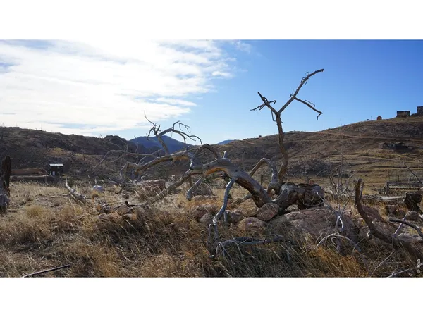 a black and white photo of a lake