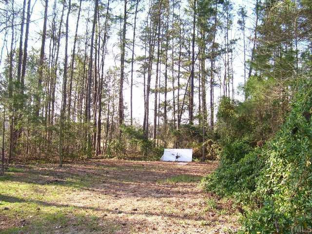 261 Graham Pond Road Angier, NC 27501 - Photo 3 of 3 Photo 3