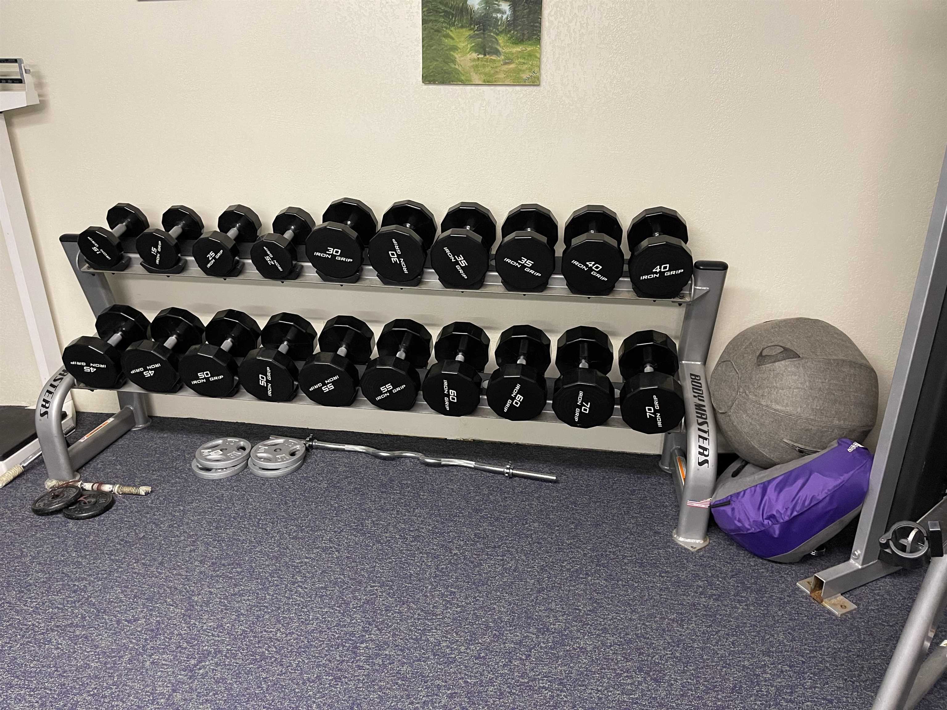 5100 Valley View Drive, Unit 311 Mesa, CO 81643 - Photo 18 of 19 a view of a room with gym equipment