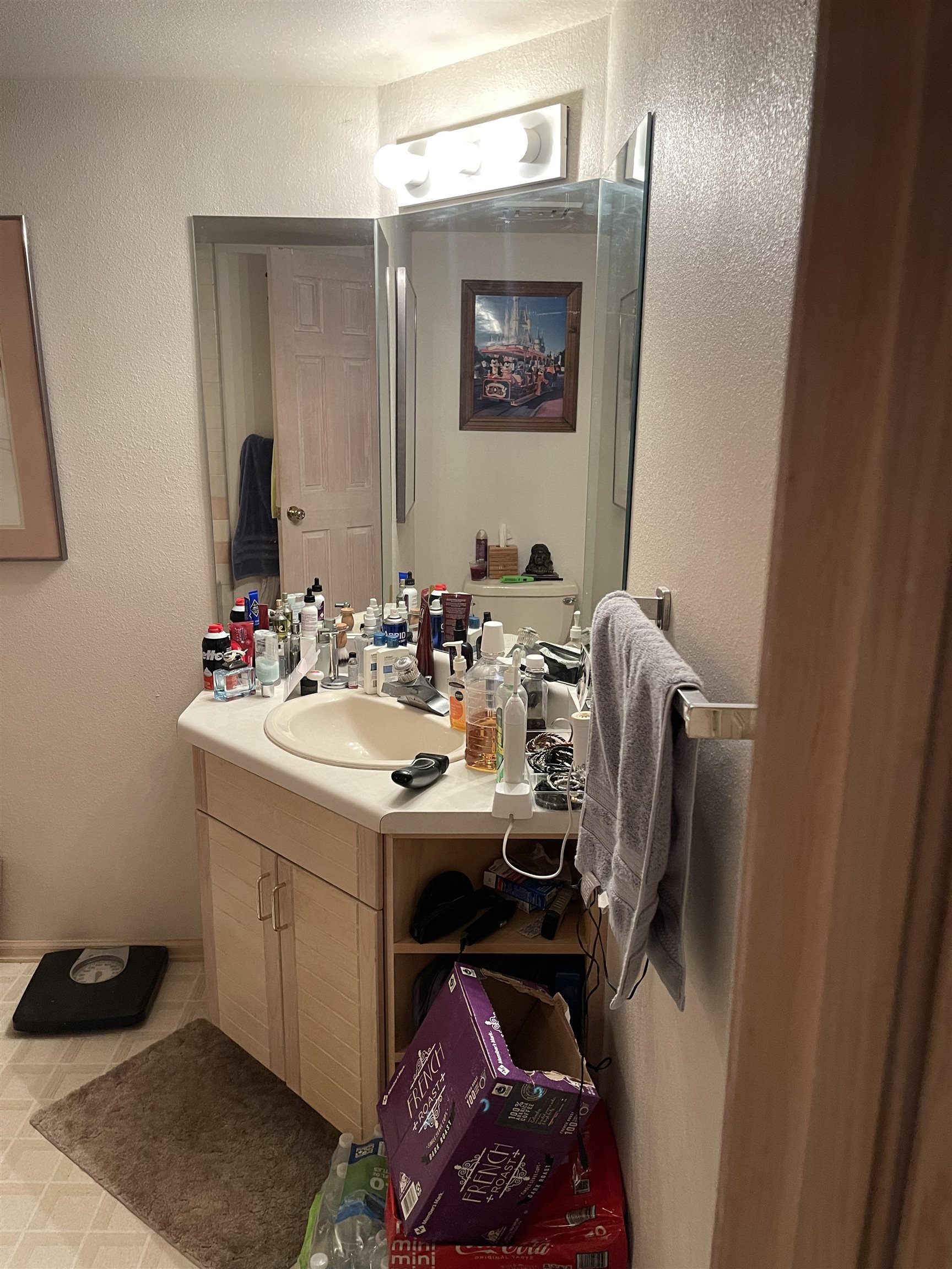 5100 Valley View Drive, Unit 311 Mesa, CO 81643 - Photo 3 of 19 a bathroom with a sink and a mirror