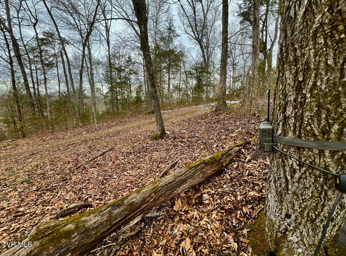 4045 South Mohawk Road Midway, TN 37809 - Photo 41 of 44 IMG_3770