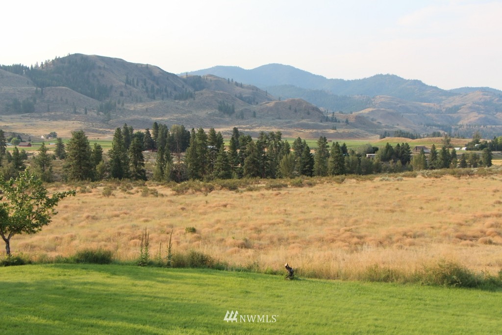 80 Tice Ranch Road Twisp, WA 98856 - Photo 2 of 22 a view of lake with mountain