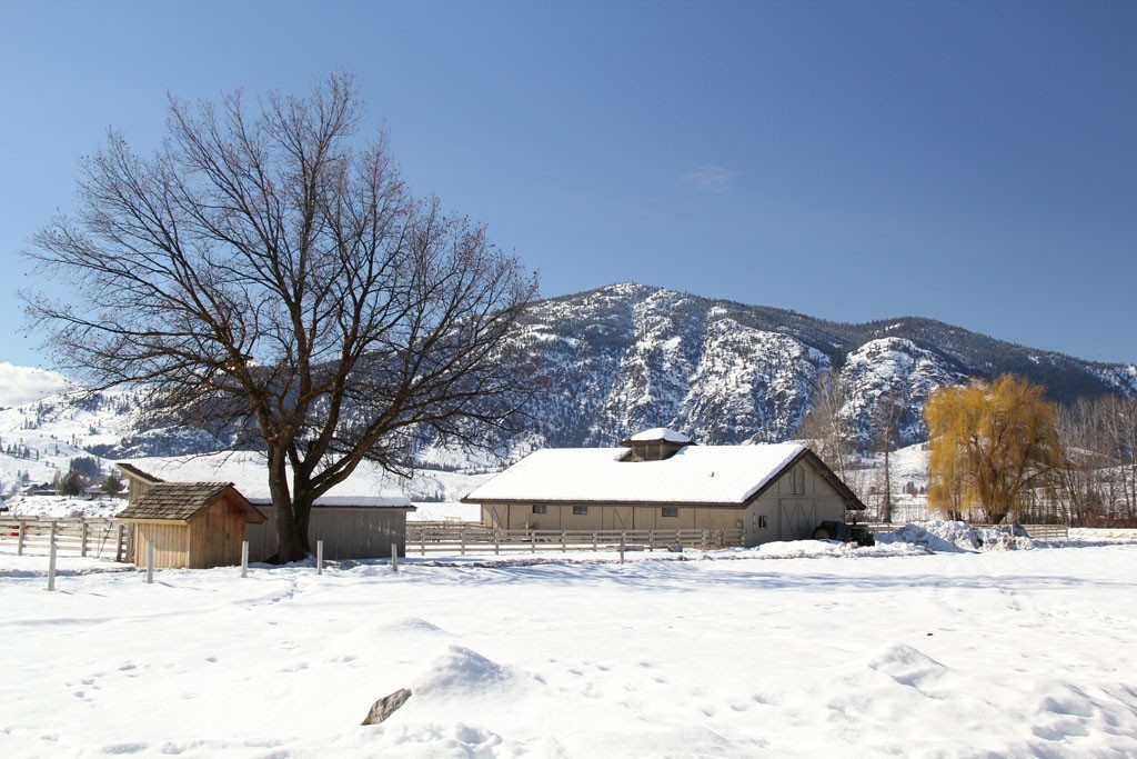 80 Tice Ranch Road Twisp, WA 98856 - Photo 15 of 22 a view of white house with a yard covered in snow