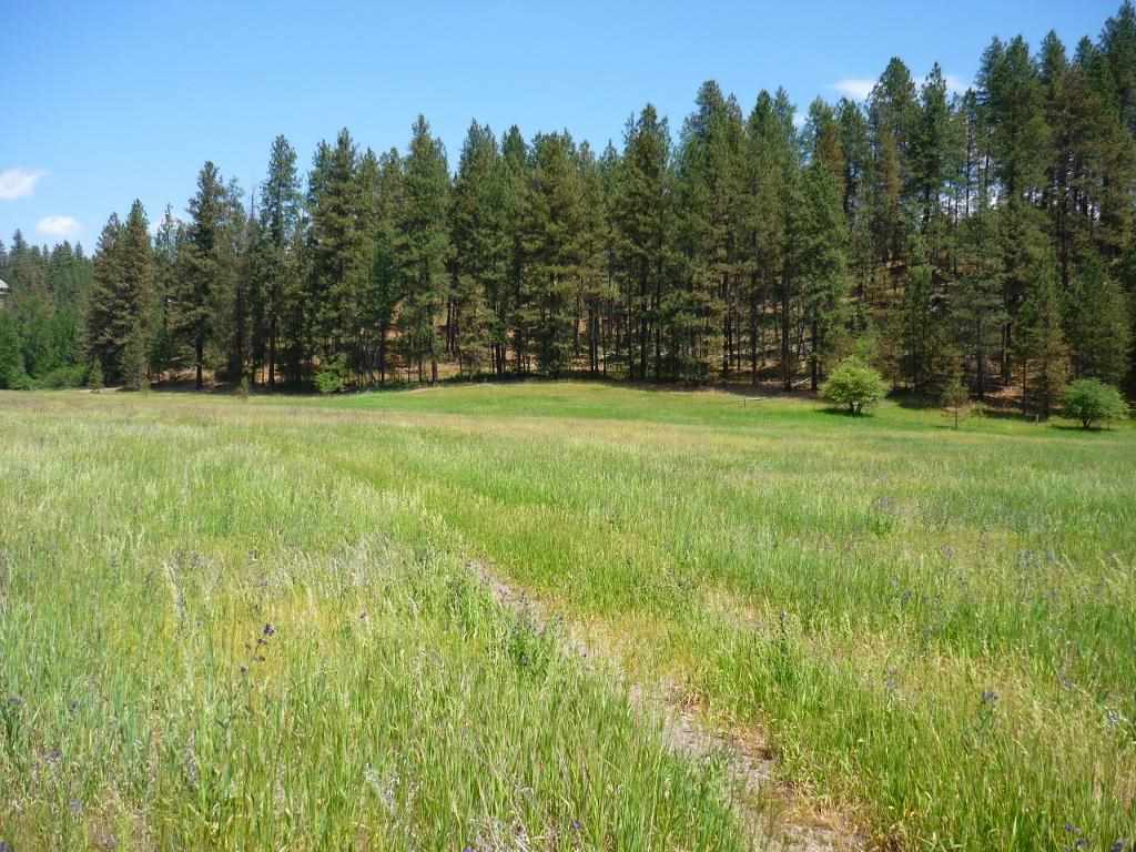 Xxx North Shady Slope Road Spokane, WA 99208 - Photo 2 of 17