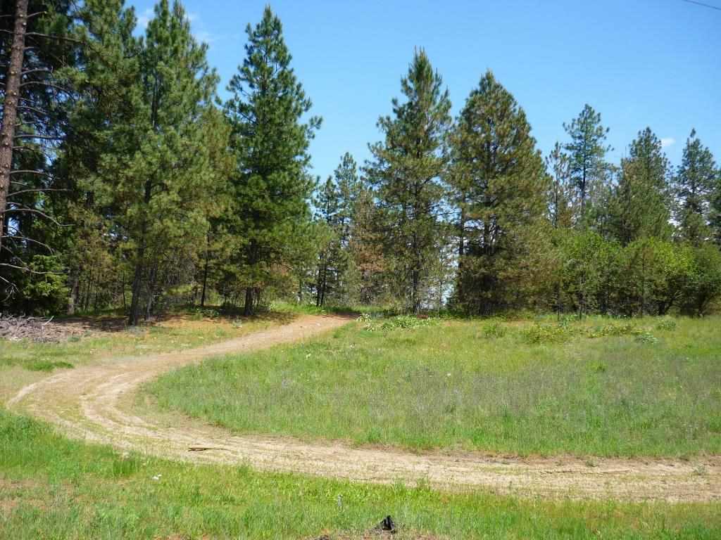 Xxx North Shady Slope Road Spokane, WA 99208 - Photo 11 of 17