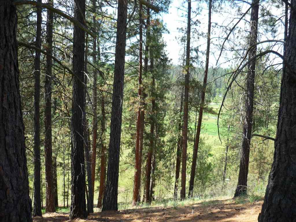 Xxx North Shady Slope Road Spokane, WA 99208 - Photo 12 of 17