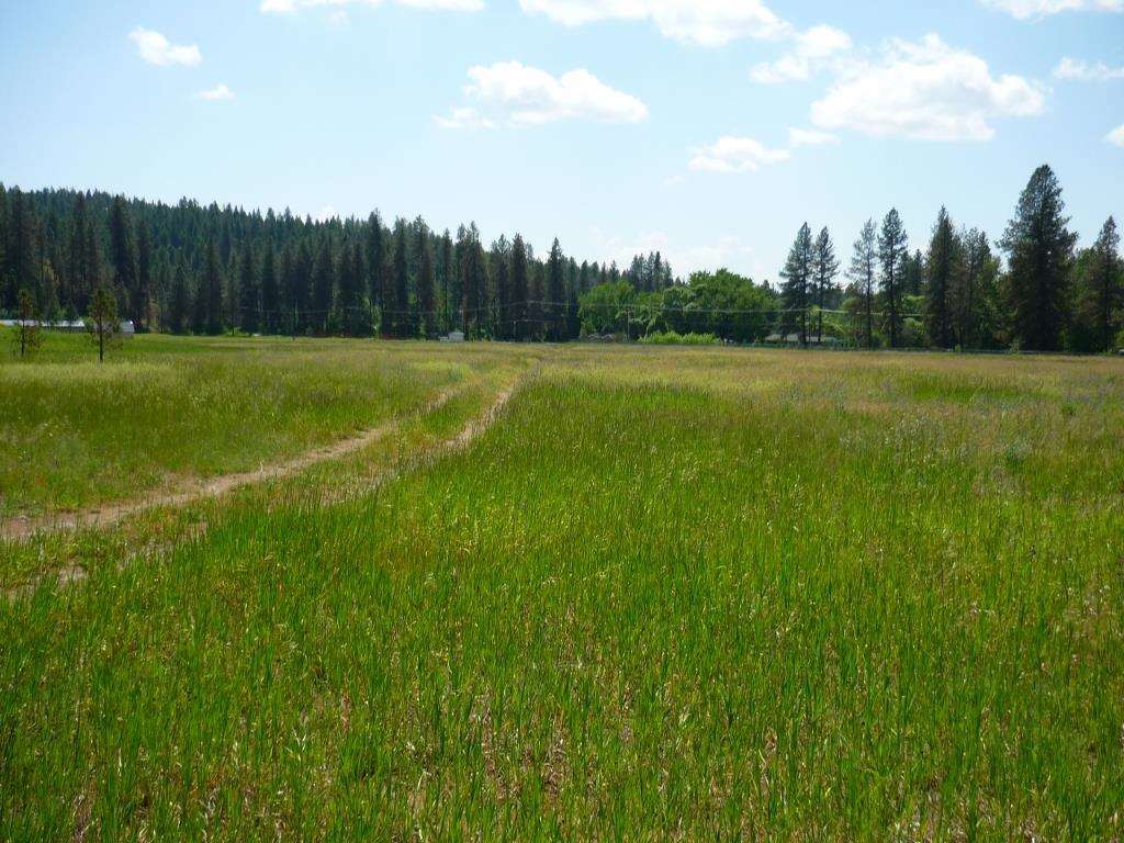 Xxx North Shady Slope Road Spokane, WA 99208 - Photo 14 of 17