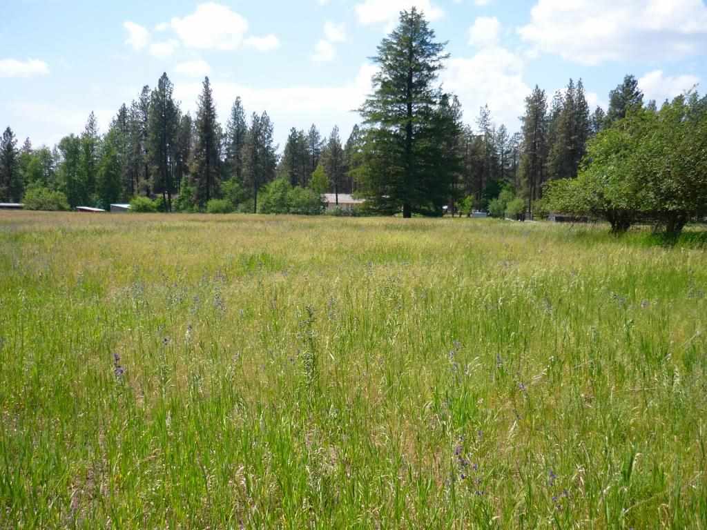 Xxx North Shady Slope Road Spokane, WA 99208 - Photo 15 of 17