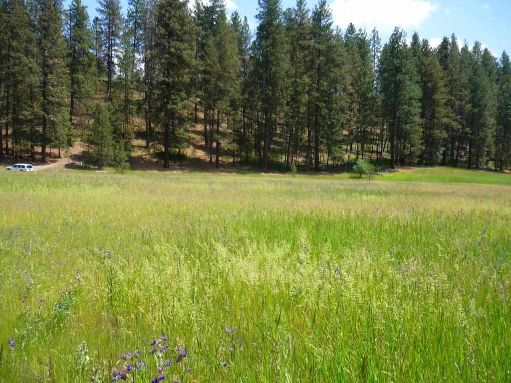 Xxx North Shady Slope Road Spokane, WA 99208 - Photo 16 of 17