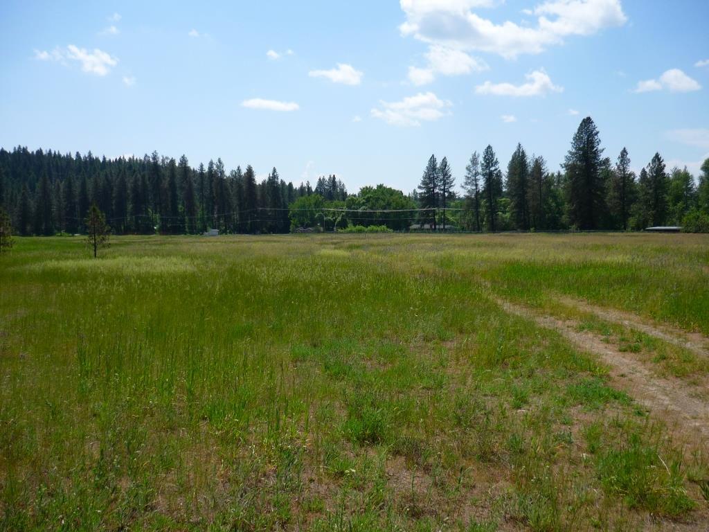 Xxx North Shady Slope Road Spokane, WA 99208 - Photo 4 of 17