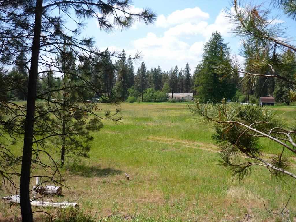 Xxx North Shady Slope Road Spokane, WA 99208 - Photo 5 of 17