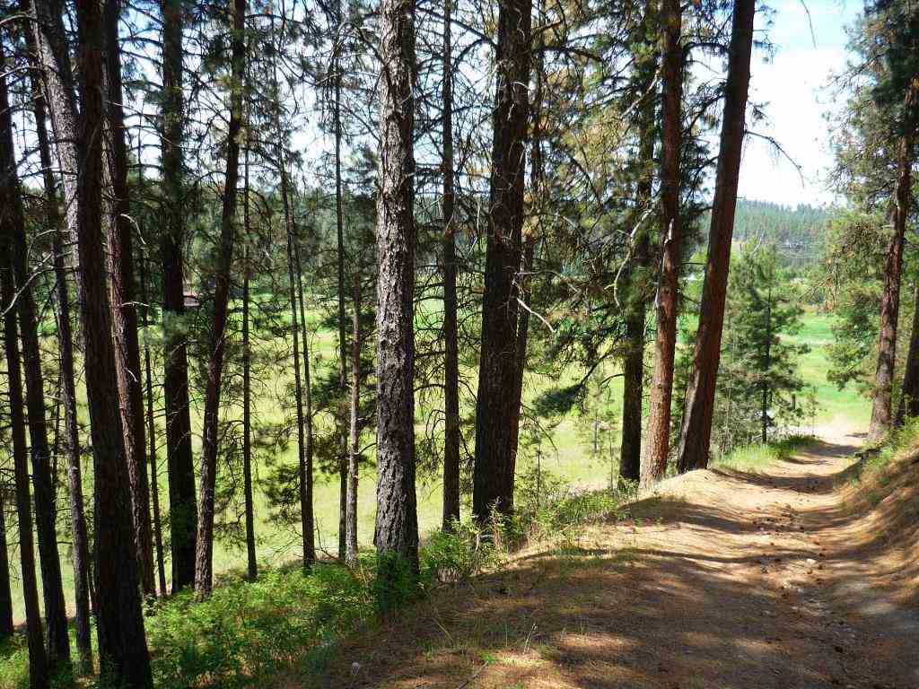 Xxx North Shady Slope Road Spokane, WA 99208 - Photo 6 of 17
