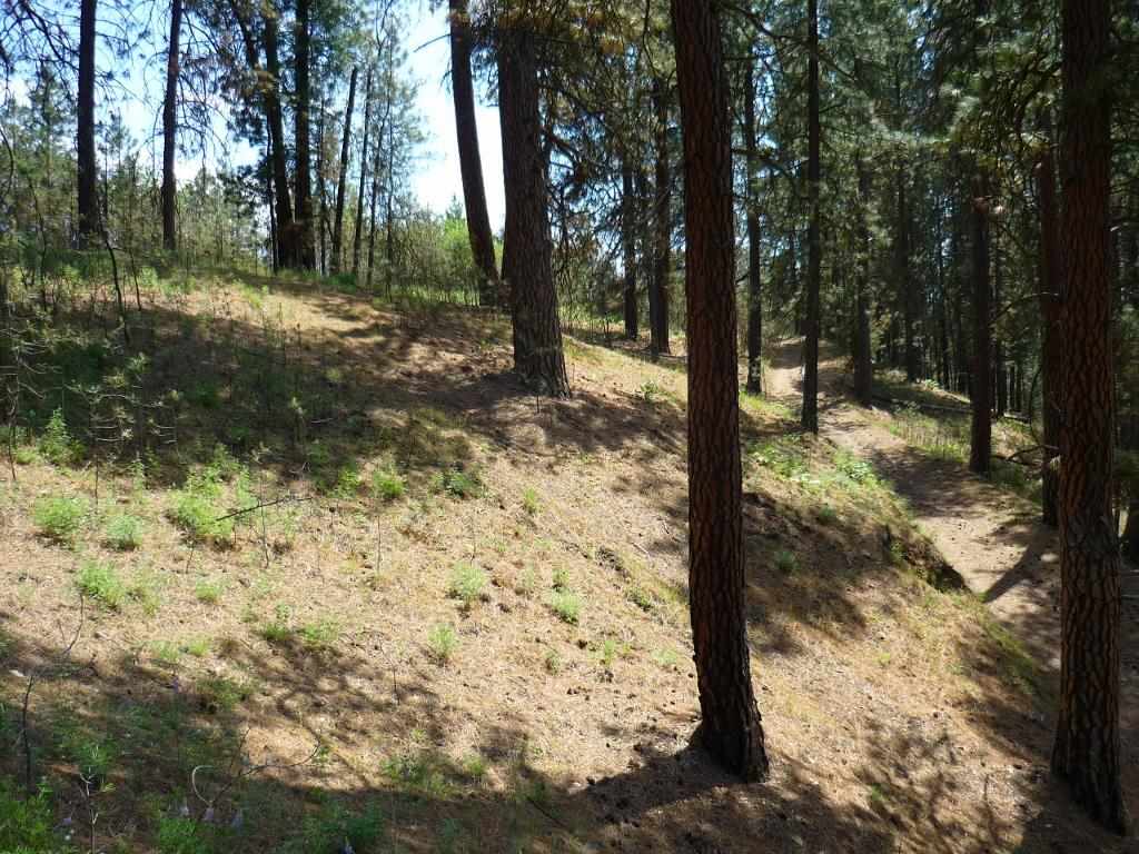 Xxx North Shady Slope Road Spokane, WA 99208 - Photo 7 of 17