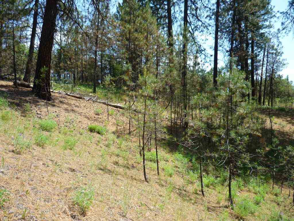 Xxx North Shady Slope Road Spokane, WA 99208 - Photo 8 of 17