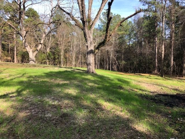 5-ac Lester Bell Road Selma, AL 36701 - Photo 11 of 26 Gallery Image 11
