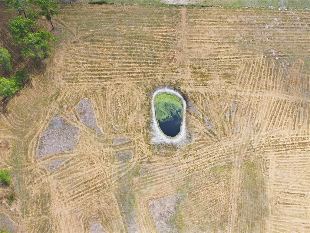 469 County Rd Center Hill Center Hill, FL 33514 - Photo 13 of 13