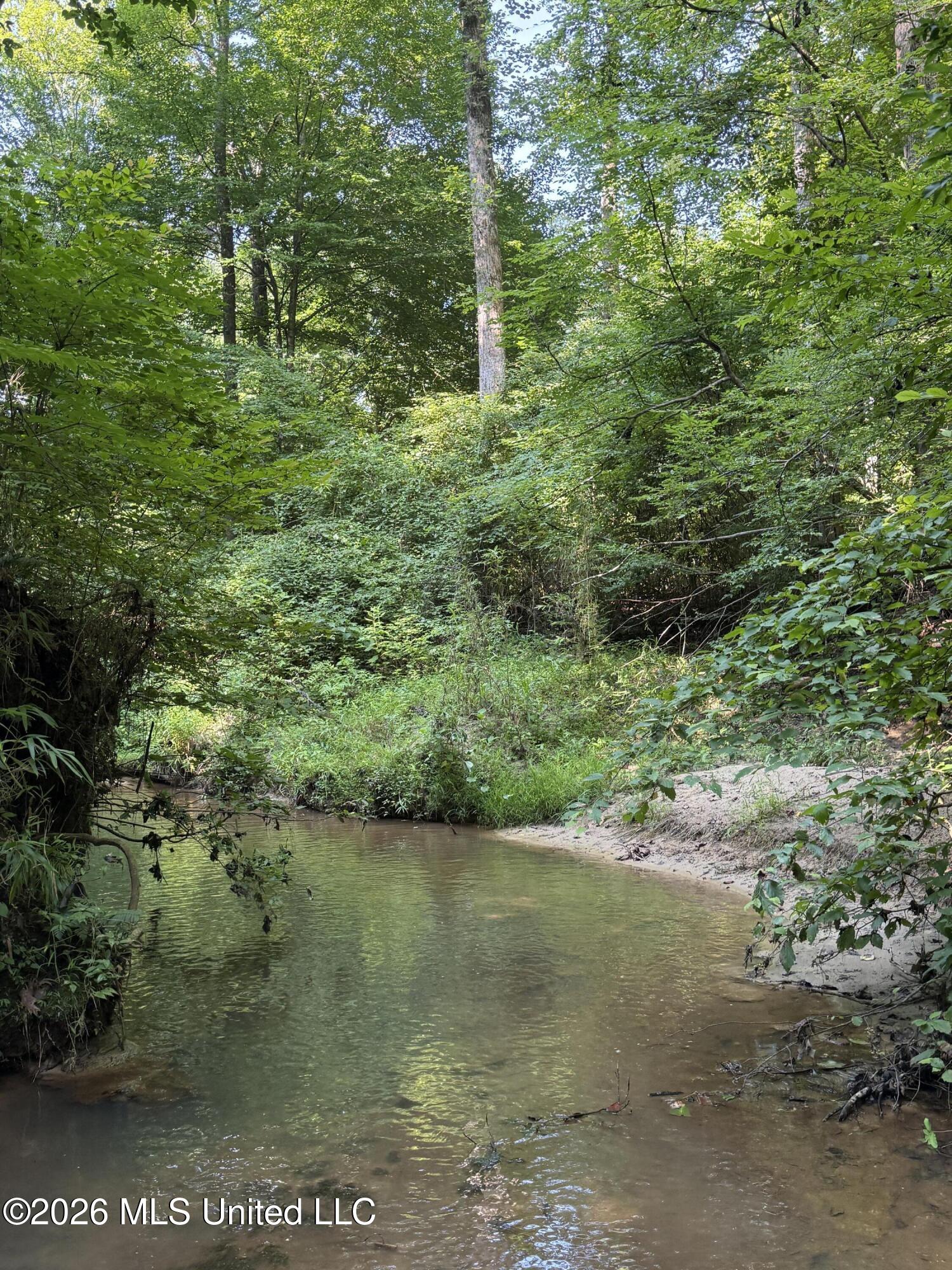 Monte Vista Road Eupora, MS 39744 - Photo 2 of 54 2