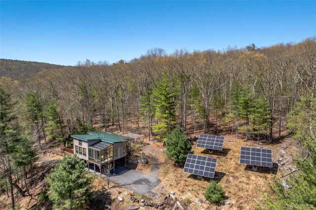 a view of a city with lush green forest