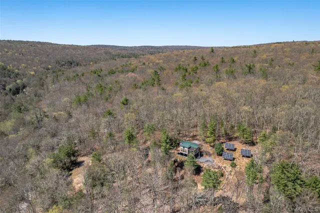 a view of a dry yard with mountains in the background