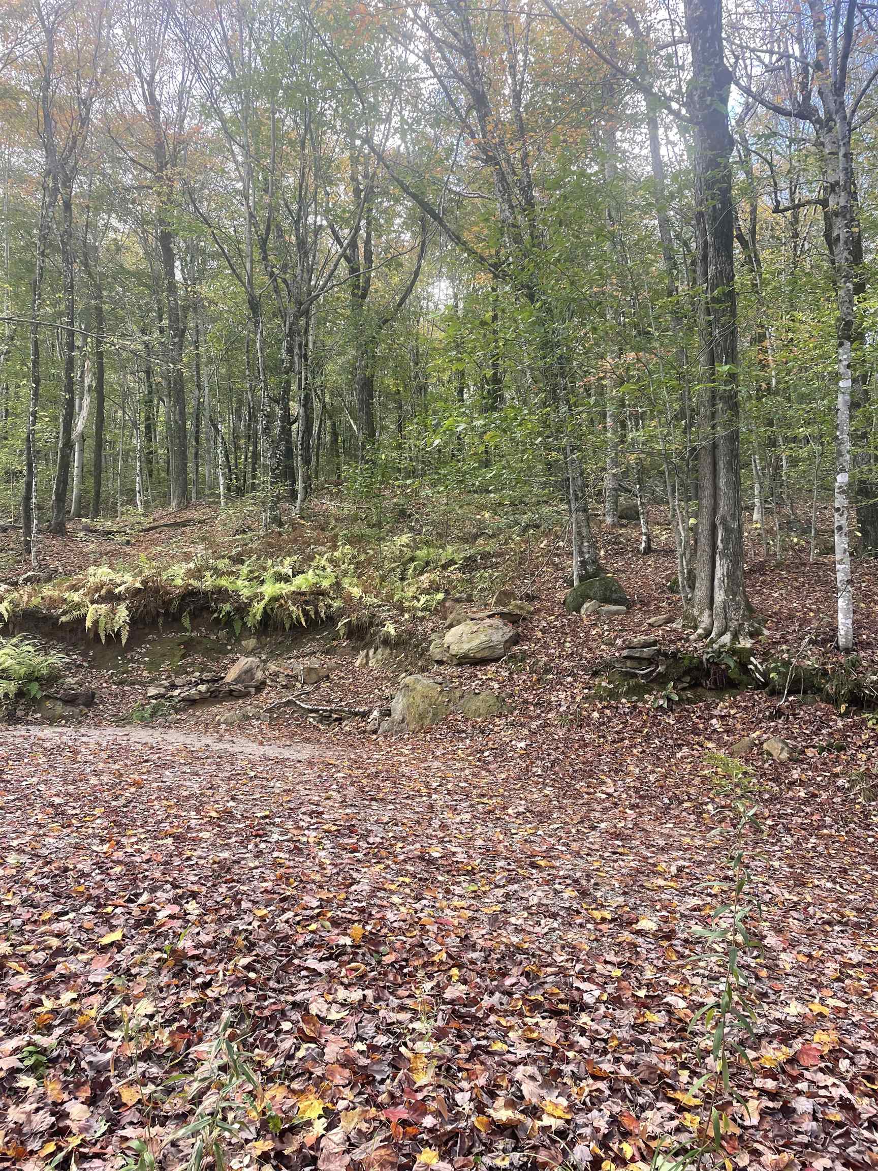 7-46 North Main Street, Unit 746 Washington, NH 03280 - Photo 4 of 6