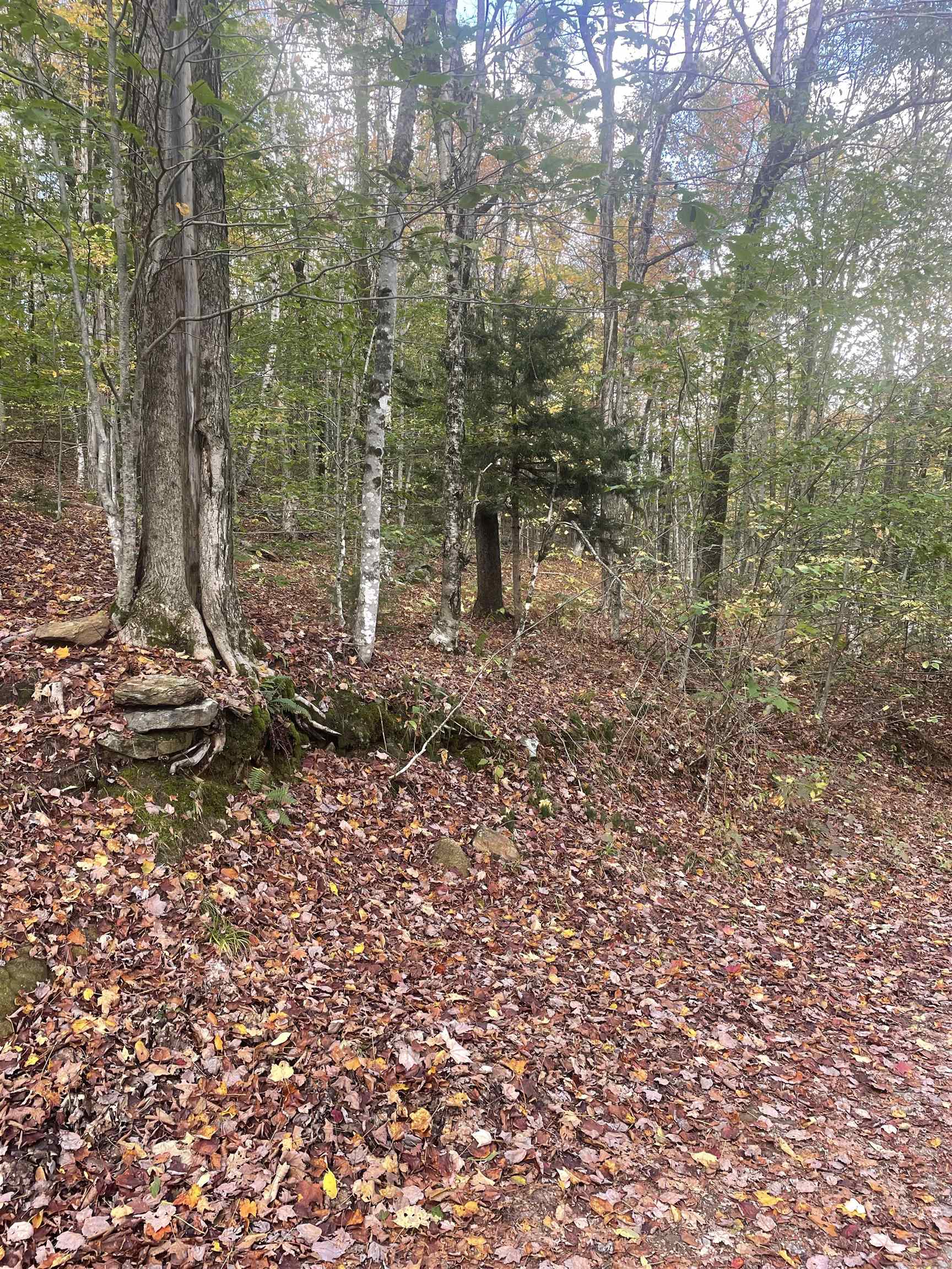 7-46 North Main Street, Unit 746 Washington, NH 03280 - Photo 6 of 6