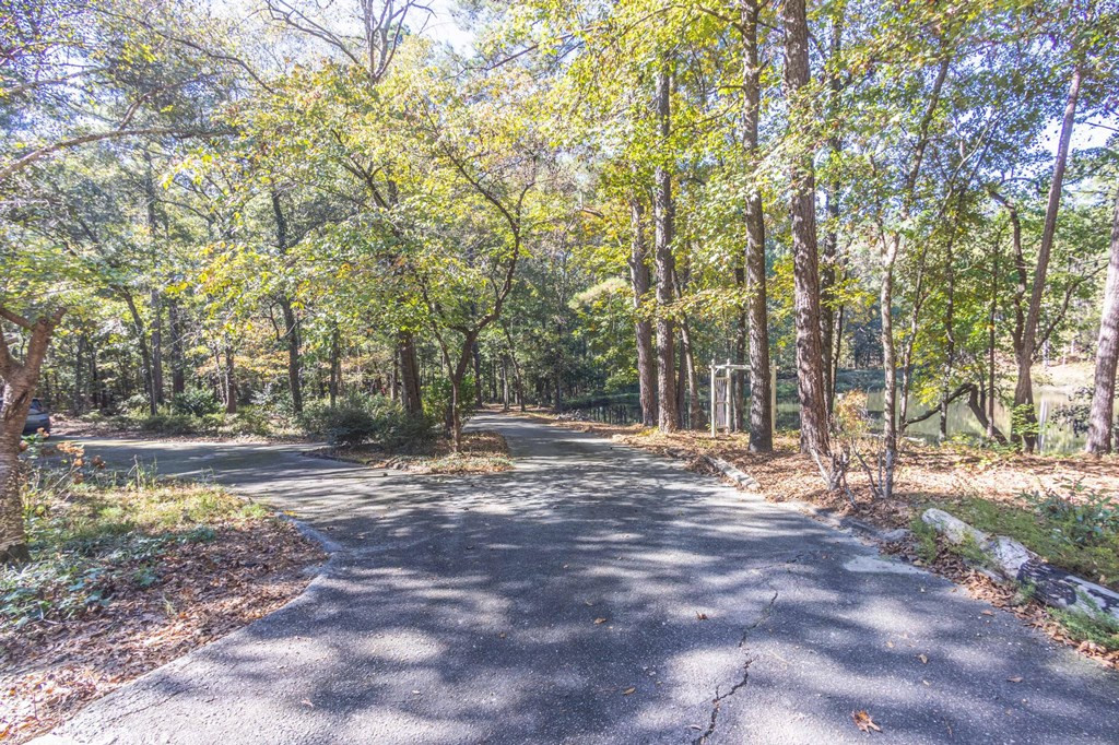 1109 Richardsons Lake Road Aiken, SC 29803 - Photo 6 of 66