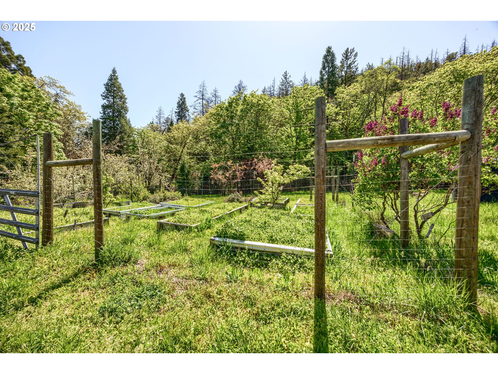 1848 Anderson Creek Road Talent, OR 97540 - Photo 2 of 48 a view of a garden