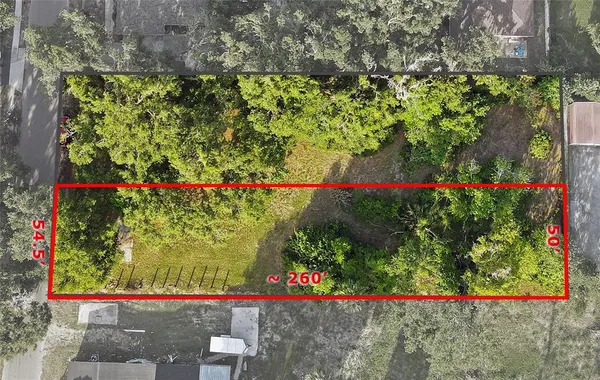 a view of a yard with a large tree