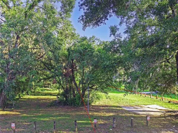 a view of park with trees