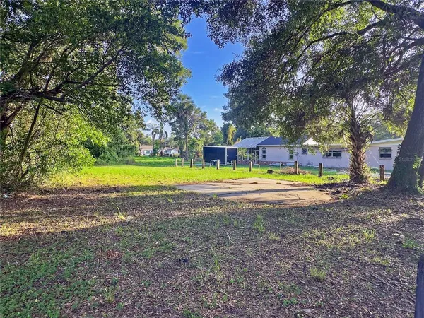 a view of a yard with a tree