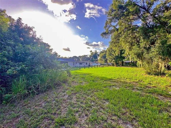 a view of outdoor space with trees all around