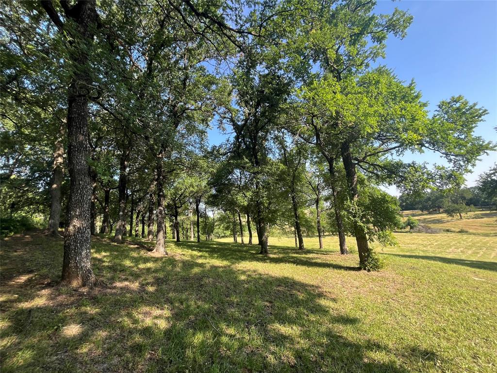 3220 Randell Lake Road Denison, TX 75020 - Photo 13 of 19 a view of park space