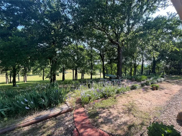 a view of backyard with green space