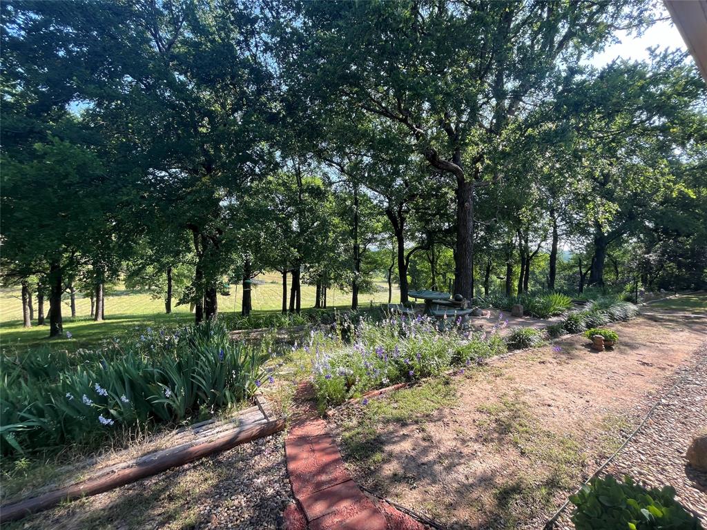 3220 Randell Lake Road Denison, TX 75020 - Photo 14 of 19 a view of backyard with green space