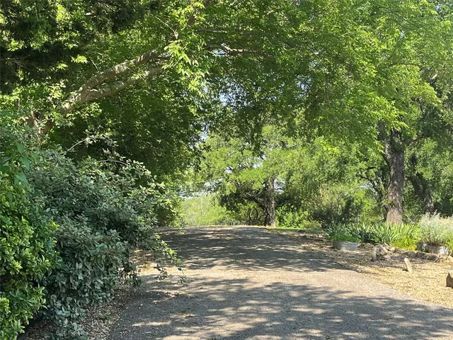 a view of a yard with plants and trees beside of it
