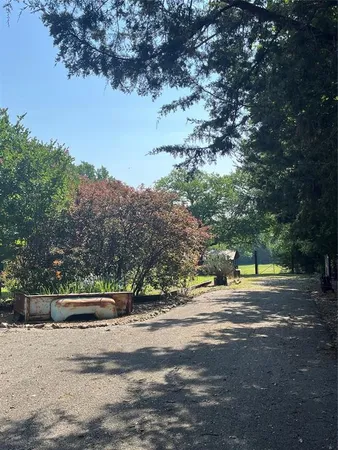 a view of street with tall trees