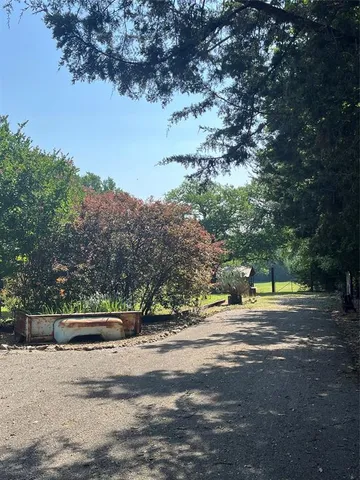 a view of street with tall trees