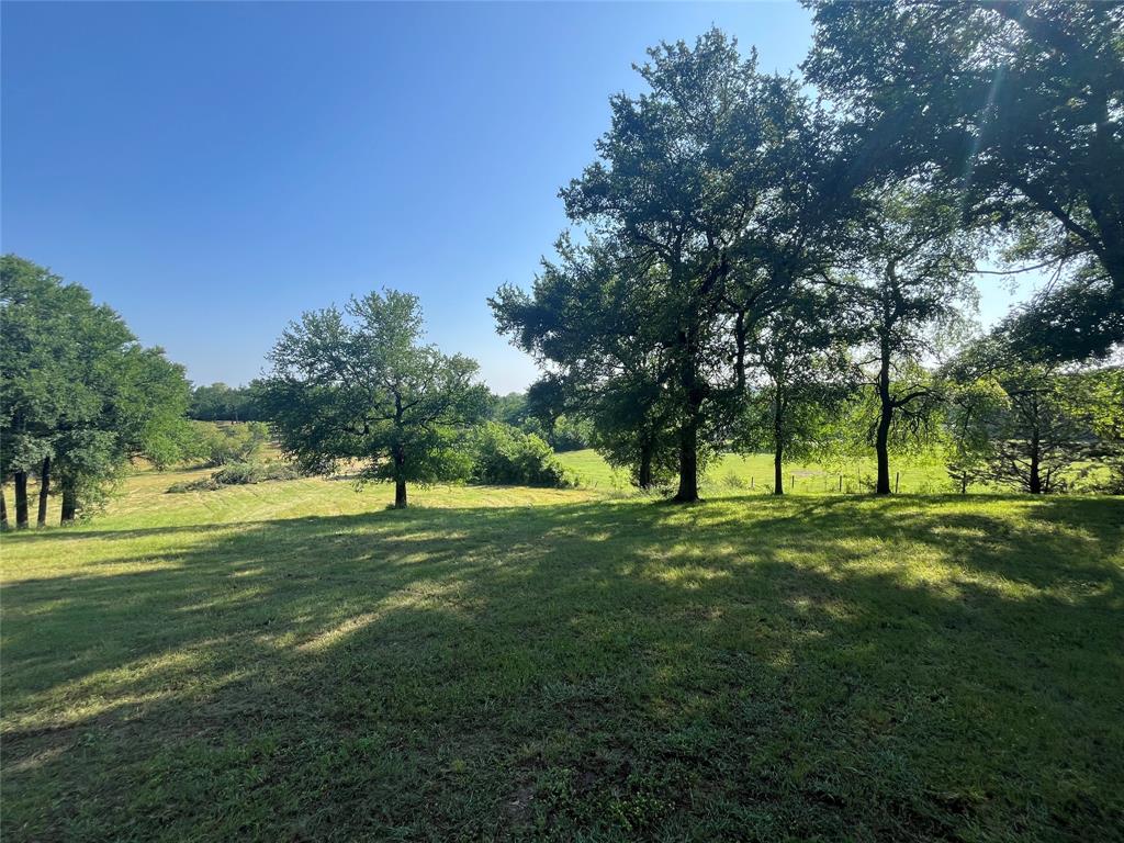 3220 Randell Lake Road Denison, TX 75020 - Photo 10 of 19 a view of a park with large trees
