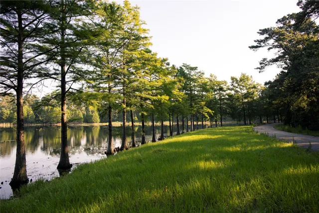 a view of a white house with a big yard and large trees