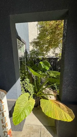 $559,900 | 4205 Moon Rose Court, Turlock, CA 95382