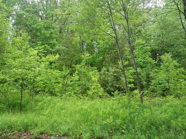 Lot 2 North Harding Avenue Harrison, MI 48625 - Photo 2 of 6